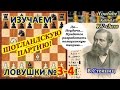 Гримшоу пожертвовал СТЕЙНИЦУ ФЕРЗЯ! и поставил мат! https://youtu.be/IsnsTLPvj1Q