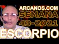 Video Horscopo Semanal ESCORPIO  del 17 al 23 Octubre 2021 (Semana 2021-43) (Lectura del Tarot)