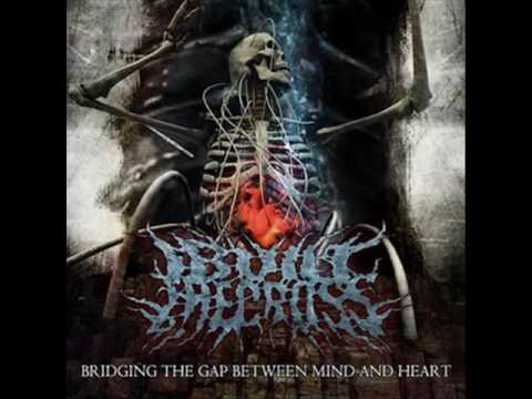 VIDEOS DE GRUPOS METAL videos de grupos metal: