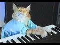 Charlie Schmidt's Keyboard Cat! - The Original! - Youtube