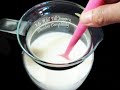 Junnu - జున్ను - Colostrum milk Cheese - Rich in Protiens - Indian Recipes - గాయత్రి వంటిల్లు