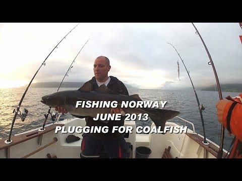 Light tackle fishing with plugs for Coalfish in Andorja Norway