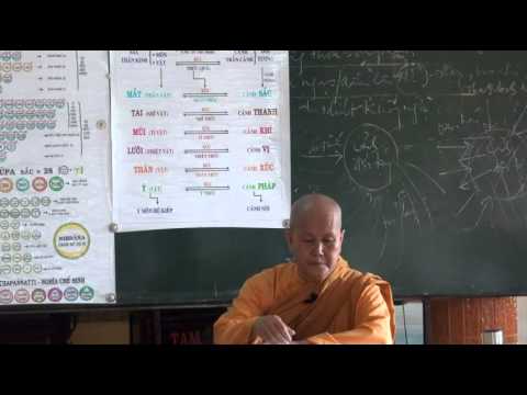 Vi Diệu Pháp - Sở Hữu Sân