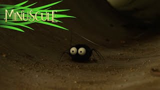 Miniscule - kompilace 12