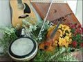 Lanigan's Ball , The Bards