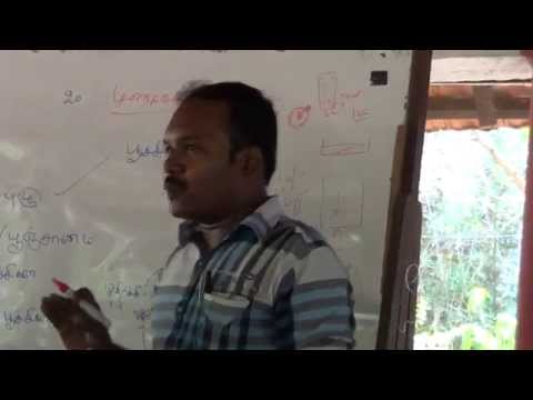 Download Trichogramma paranoids controlling,டிரைக்கோகிரம்மா ஒட்டுண்ணி அட்டை கட்டுவதன் பயன்கள்