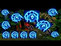 Ancient Golem Champion Spotlight