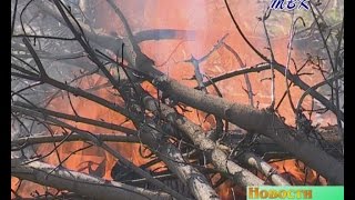 Сильный ветер осложняет пожароопасную обстановку в Искитимском районе