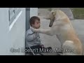 Thumbnail 3 for Sweet Mama Dog Interacting With A Beautiful Child With Thumbnail 3 for Sweet Mama Dog Interacting With A Beautiful Child With