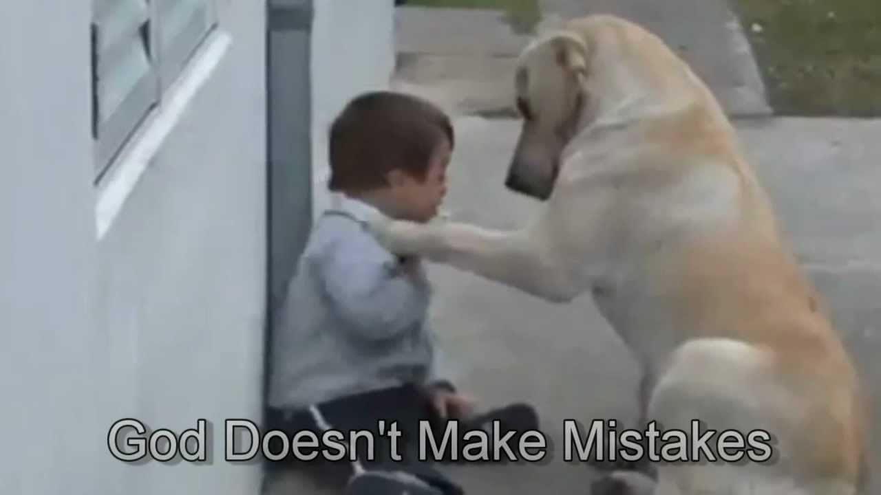 Sweet Mama Dog Interacting with a Beautiful Child with Down Syndrome Jim Stenson  