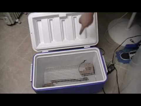 Homemade chicken egg incubator made styrofoam cooler | incubator 