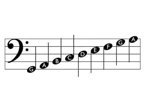 How to Read Music - Bass Clef (with free download) - YouTube