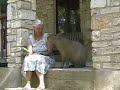 Caplin Rous Begs for a Popsicle