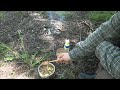 bushcraft cooking: yogurt&oatmeal dish (the sweet version)... my way