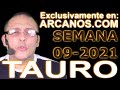 Video Horscopo Semanal TAURO  del 21 al 27 Febrero 2021 (Semana 2021-09) (Lectura del Tarot)