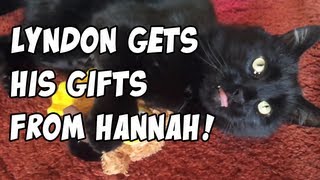 YOGSCAT Lyndon opens his toys from Hannah!