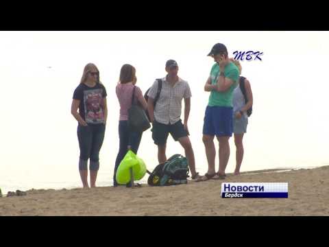 Общественники из Барнаула очищали от мусора пляж Бердска