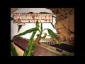 Mf Doom - Arrow Root - Youtube