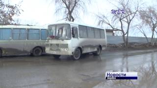 На весенних каникулах школьники Бердска могут бесплатно ездить на муниципальных автобусах
