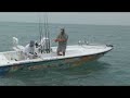 Best Hammerhead Shark Video Chew On This Fishing Show