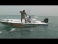 Best Hammerhead Shark Video Chew On This Fishing Show