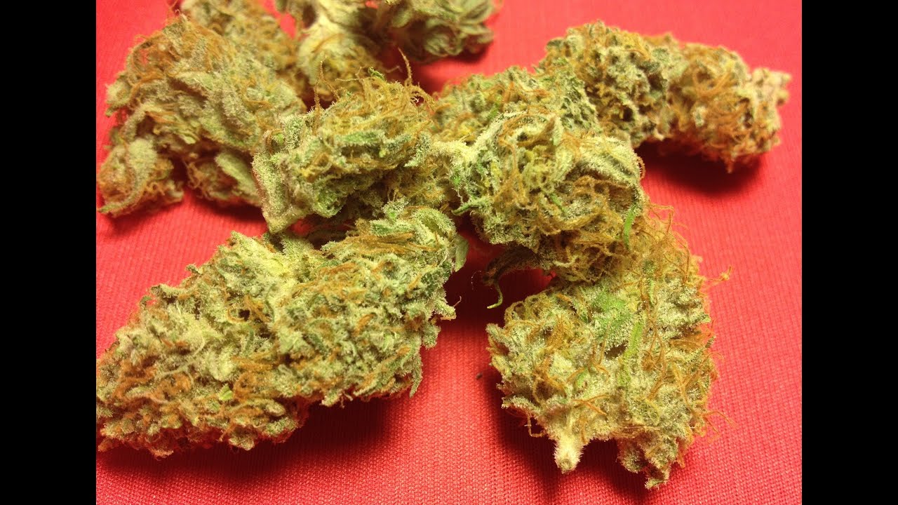 PINEAPPLE EXPRESS strain review AMAZING CANNABIS?! YouTube