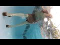 Underwater wetlook with Terra.