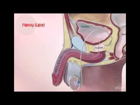 funny penis video Andy cole nude band