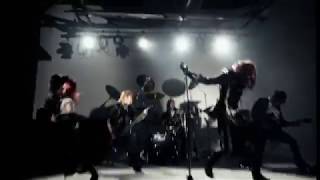 Signal - GLOW BACK OVER SCARS
