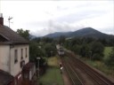 Brillenschlange CD 750 042 in Przno