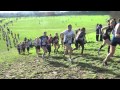 LIFA Cross court féminin 16 février 2014