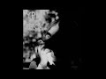 Retox -