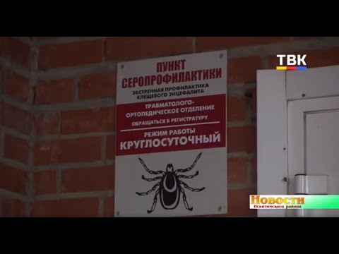 Весна-осень 2020: самый длинный период активности клещей в Искитимском районе
