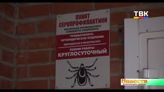 Весна-осень 2020: самый длинный период активности клещей в Искитимском районе