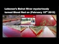MILLIONS OF LOCUST DESEND ON CALIFORNIAN TOWN OF BIBLICAL PROPORTIONS! (JUNE 14, 2012)