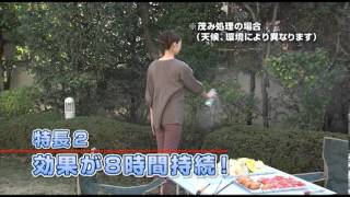 FTV動画 Vol.10