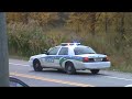 Cops scare and over kill young calff. trigger happy animal cruelty 101 Gatineau Quebec.