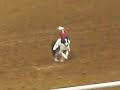 Thumbnail 3 for Whiplash The Cowboy Monkey Thumbnail 3 for Whiplash The Cowboy Monkey