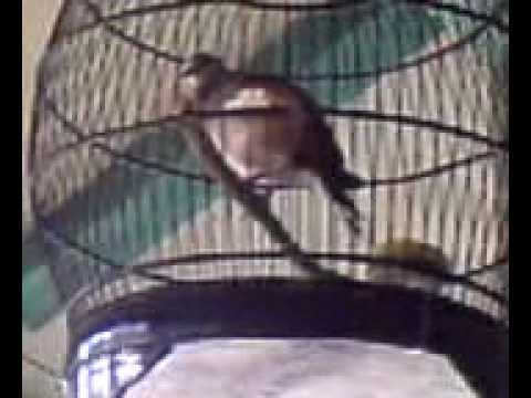 November 2014 Page 126 Wakaphotos Com