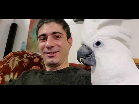 Funny Bird reaction to his old video🤩🤩🤩