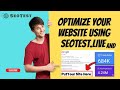 Unlock Your Website's SEO Potential with seotest.live's Free Reports