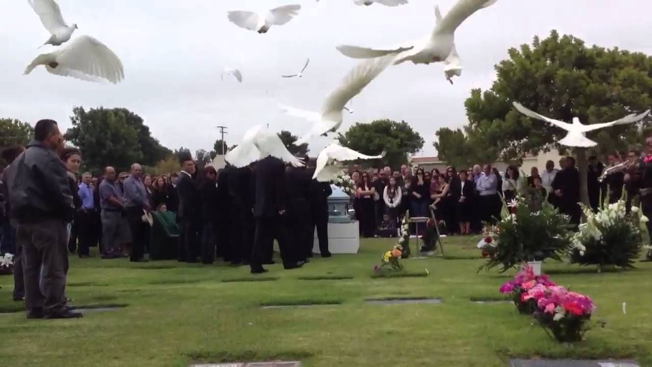 50 dove funeral dove release YouTube