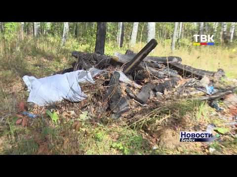 В лесах около Бердска можно собирать грибы-ягоды, но нужнее - убирать мусор! В лесах около Бердска можно собирать грибы-ягоды, но нужнее - убирать мусор!