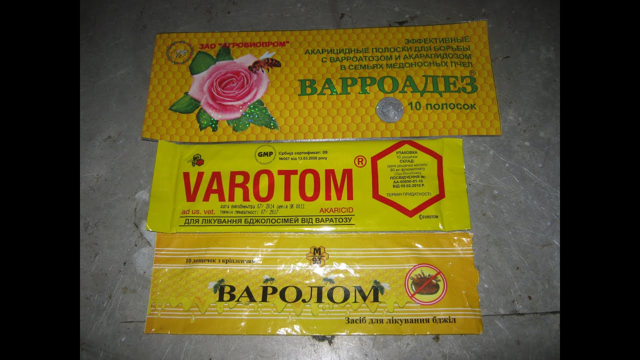 Причёски в ресторан Причёски в ресторан