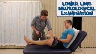 Lower Limb Neurological Examination - OSCE Guide