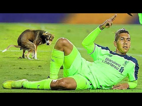Funny Soccer Football Vines 2019 | Goals | Skills | Fails #2