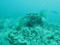 Sheridan Tug Wreck Tanks-A-Lot Dive Trip