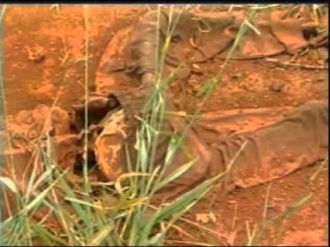 Ossada é encontrada na MG-452, próximo a Tapuirama