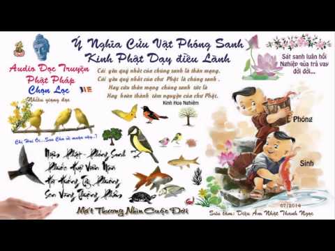 Ý Nghĩa Cứu Vật Phóng Sanh