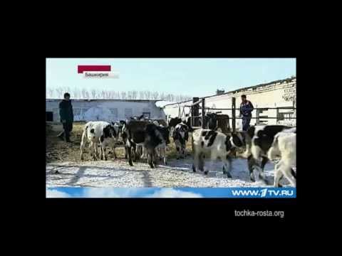 ТВ о Шаймуратово.